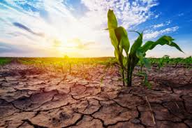 climate change
